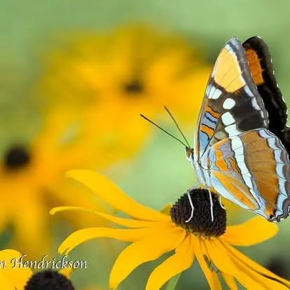 $284,000 | 11306 Winding Way, Clipper Mills, CA 95930