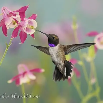 $284,000 | 11306 Winding Way, Clipper Mills, CA 95930