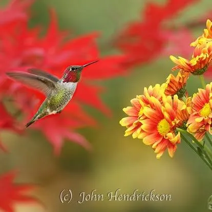 $284,000 | 11306 Winding Way, Clipper Mills, CA 95930