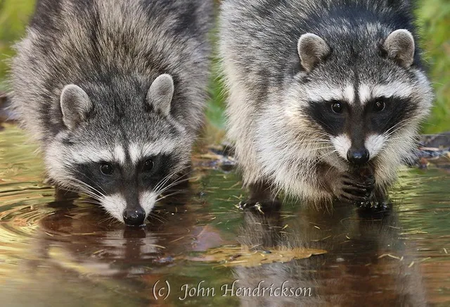 $284,000 | 11306 Winding Way, Clipper Mills, CA 95930