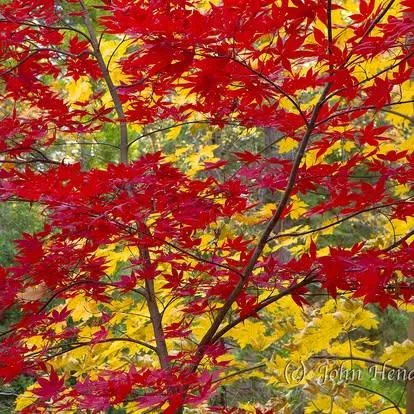 $284,000 | 11306 Winding Way, Clipper Mills, CA 95930