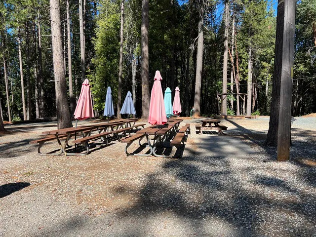 $284,000 | 11306 Winding Way, Clipper Mills, CA 95930