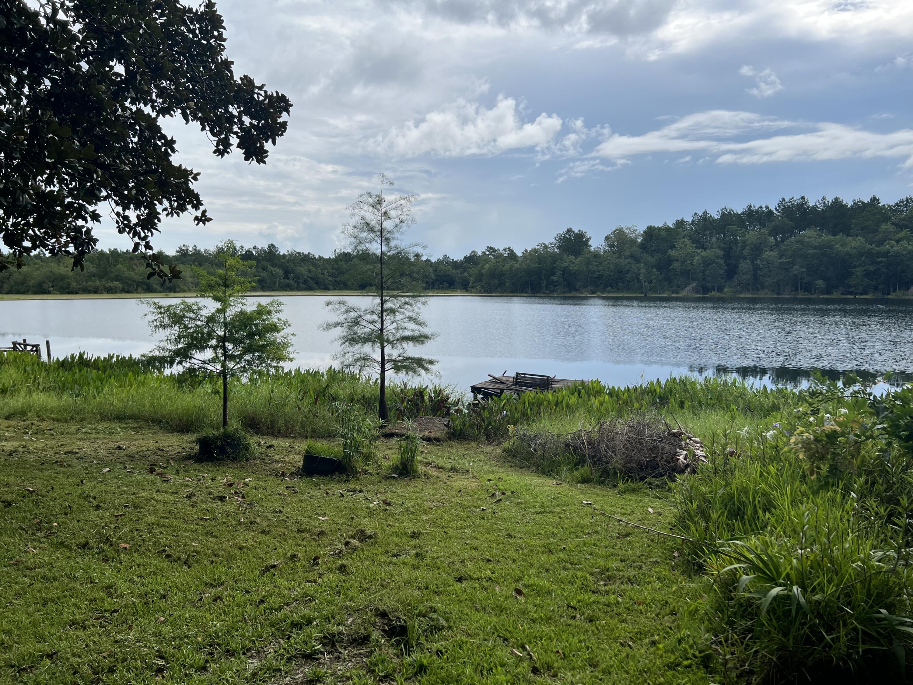 5127 Redbug Lane Vernon, FL 32462 - Photo 1 of 18 a view of a lake view with houses in back
