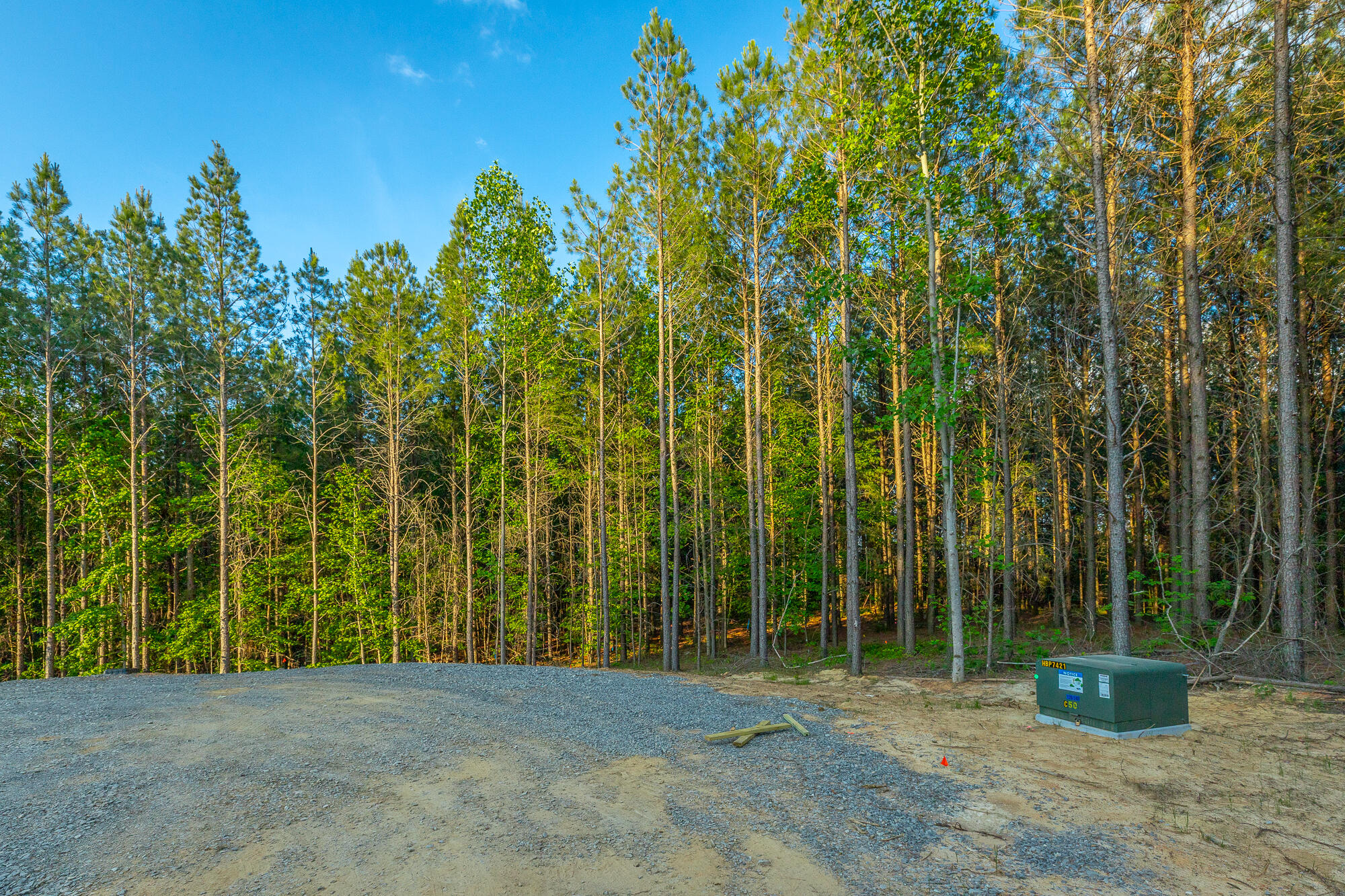 0 Back Basin Trail, Unit LOT 1244 Chattanooga, TN 37419 - Photo 6 of 119 0 Back Basin Trail - Lot 1244 HD-46