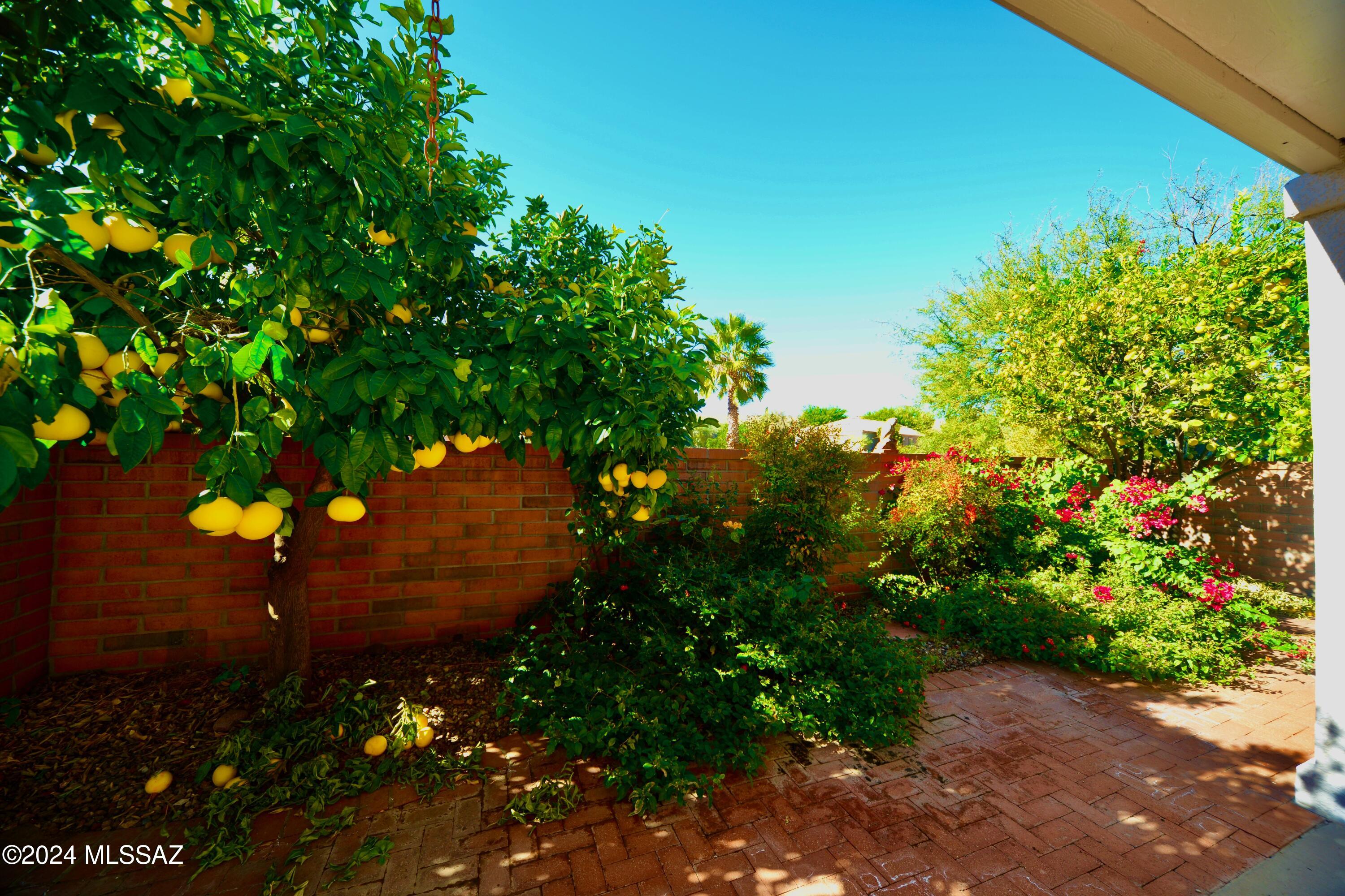 1792 North Rio Mayo Green Valley, AZ 85614 - Photo 3 of 38 Gallery Image 3