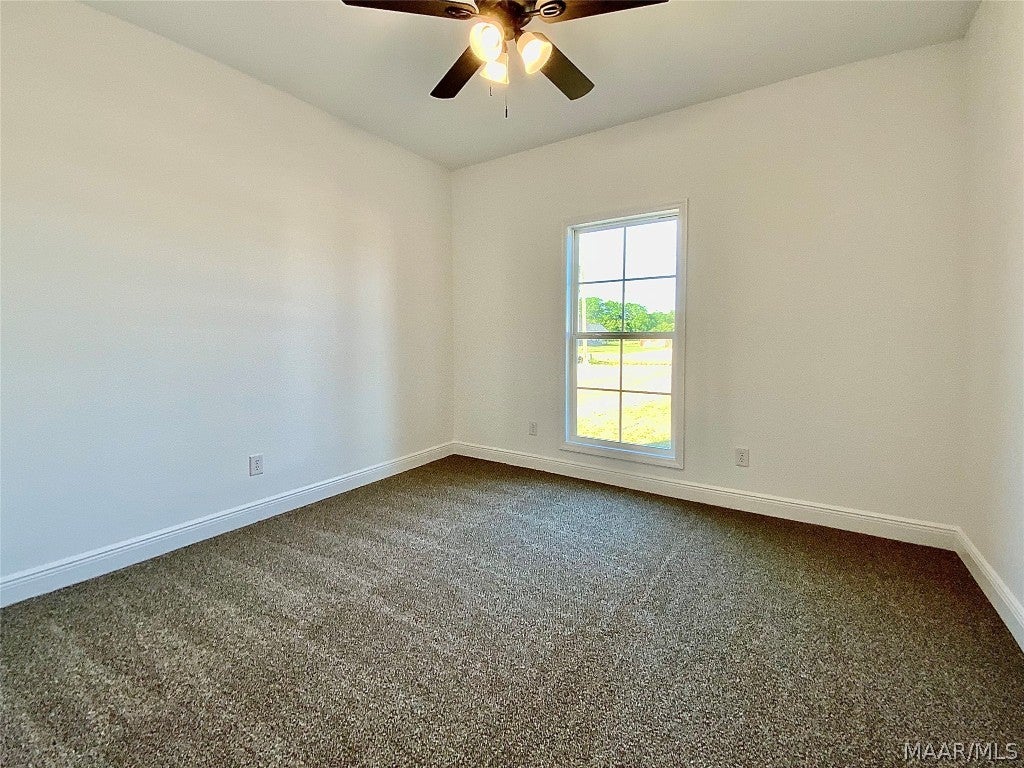 184 Sandbed Road Newton, AL 36352 - Photo 8 of 36 Gallery Image 8