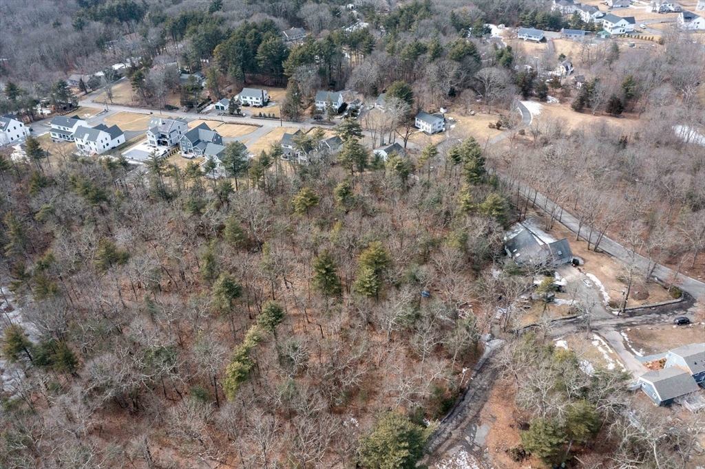 106 Indian Lane Canton, MA 02021 - Photo 14 of 28 a view of a forest with a tree