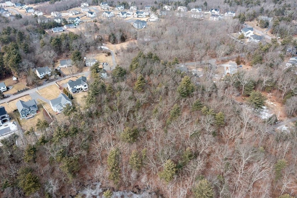 106 Indian Lane Canton, MA 02021 - Photo 17 of 28 a view of a dry yard