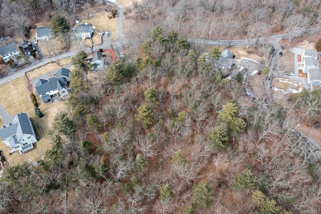 106 Indian Lane Canton, MA 02021 - Photo 19 of 28 a view of a house with a lush green forest