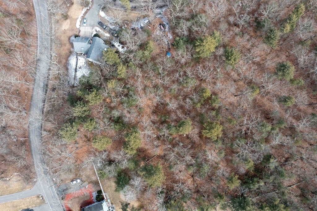 106 Indian Lane Canton, MA 02021 - Photo 22 of 28 a view of a yard with a plants and trees