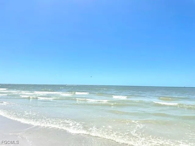 a view of palm trees