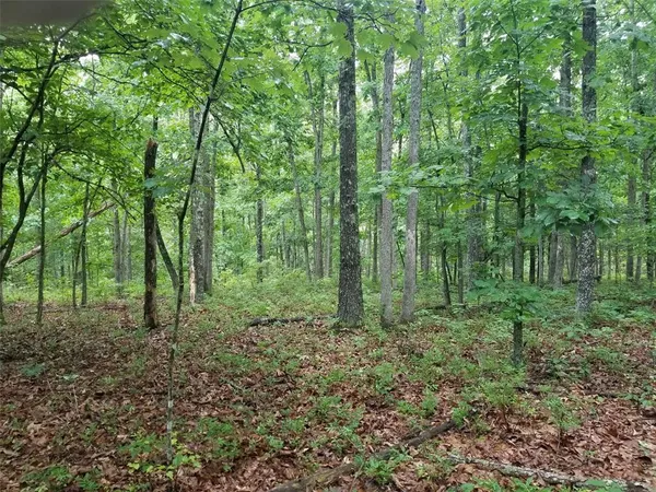 $82,500 | Tbd Hickory Road, Steelville, MO 65565