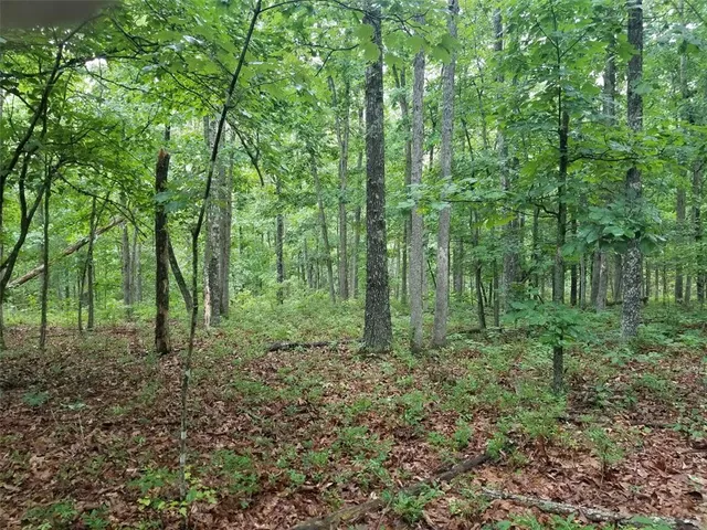 $89,900 | Tbd Hickory Road, Steelville, MO 65565