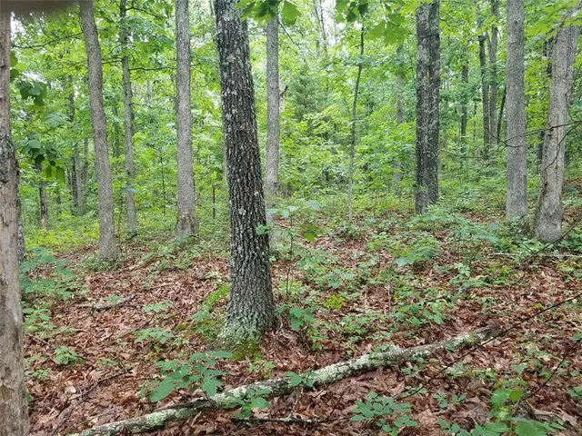 $89,900 | Tbd Hickory Road, Steelville, MO 65565