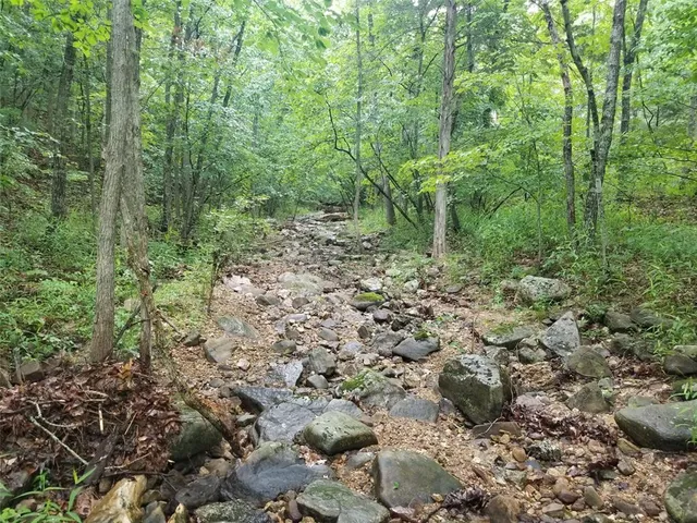 $89,900 | Tbd Hickory Road, Steelville, MO 65565
