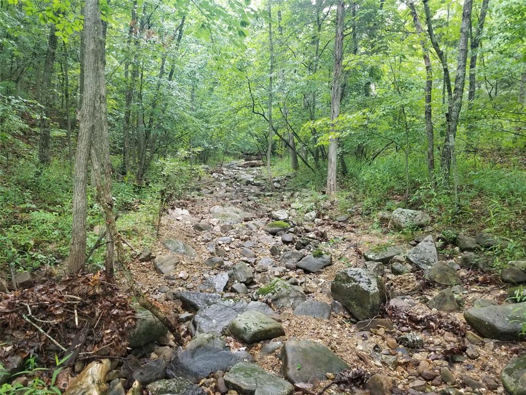 Tbd Hickory Road Steelville, MO 65565 - Photo 5 of 10