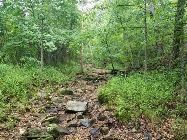 $89,900 | Tbd Hickory Road, Steelville, MO 65565