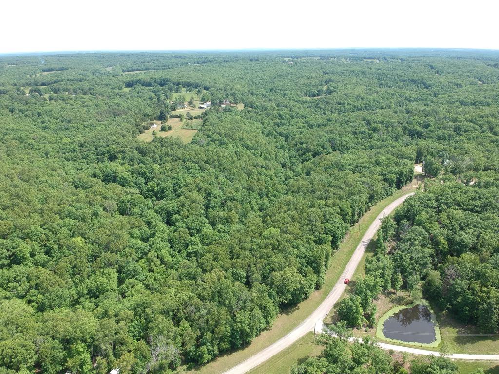 Tbd Hickory Road Steelville, MO 65565 - Photo 7 of 10
