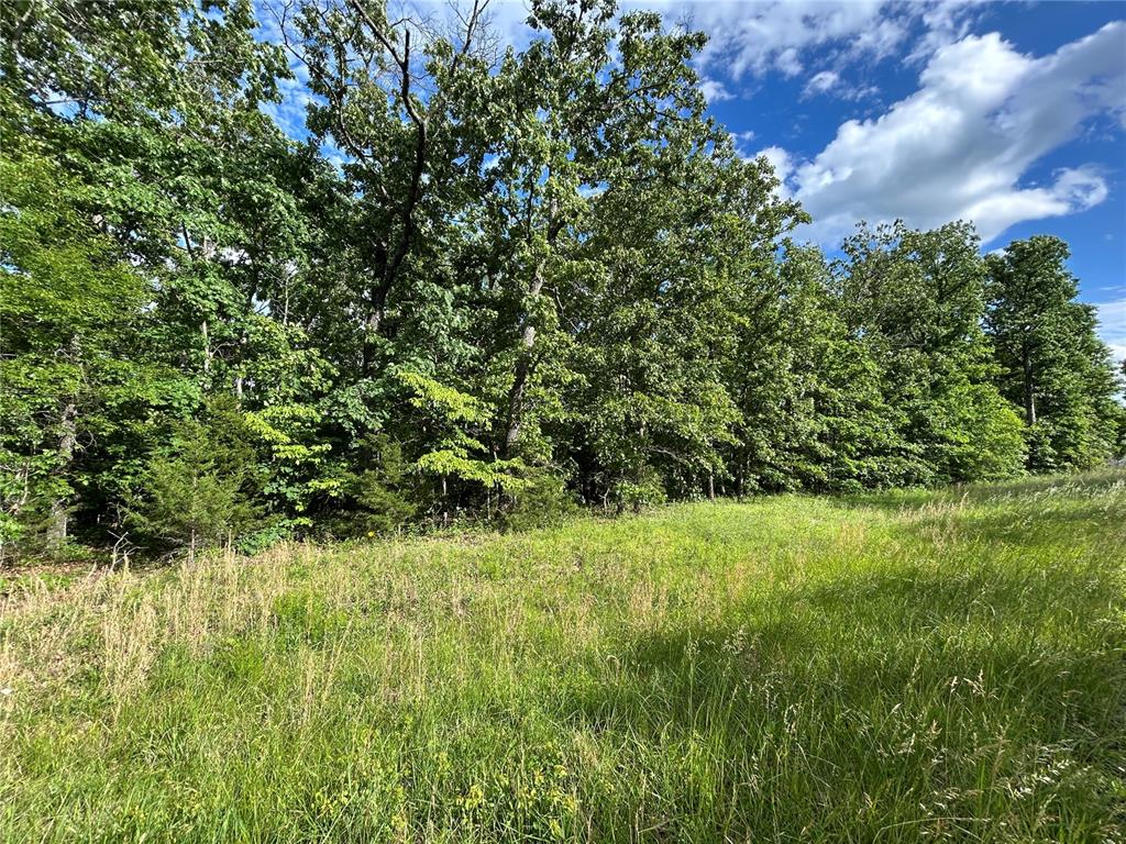 Tbd Hickory Road Steelville, MO 65565 - Photo 9 of 10