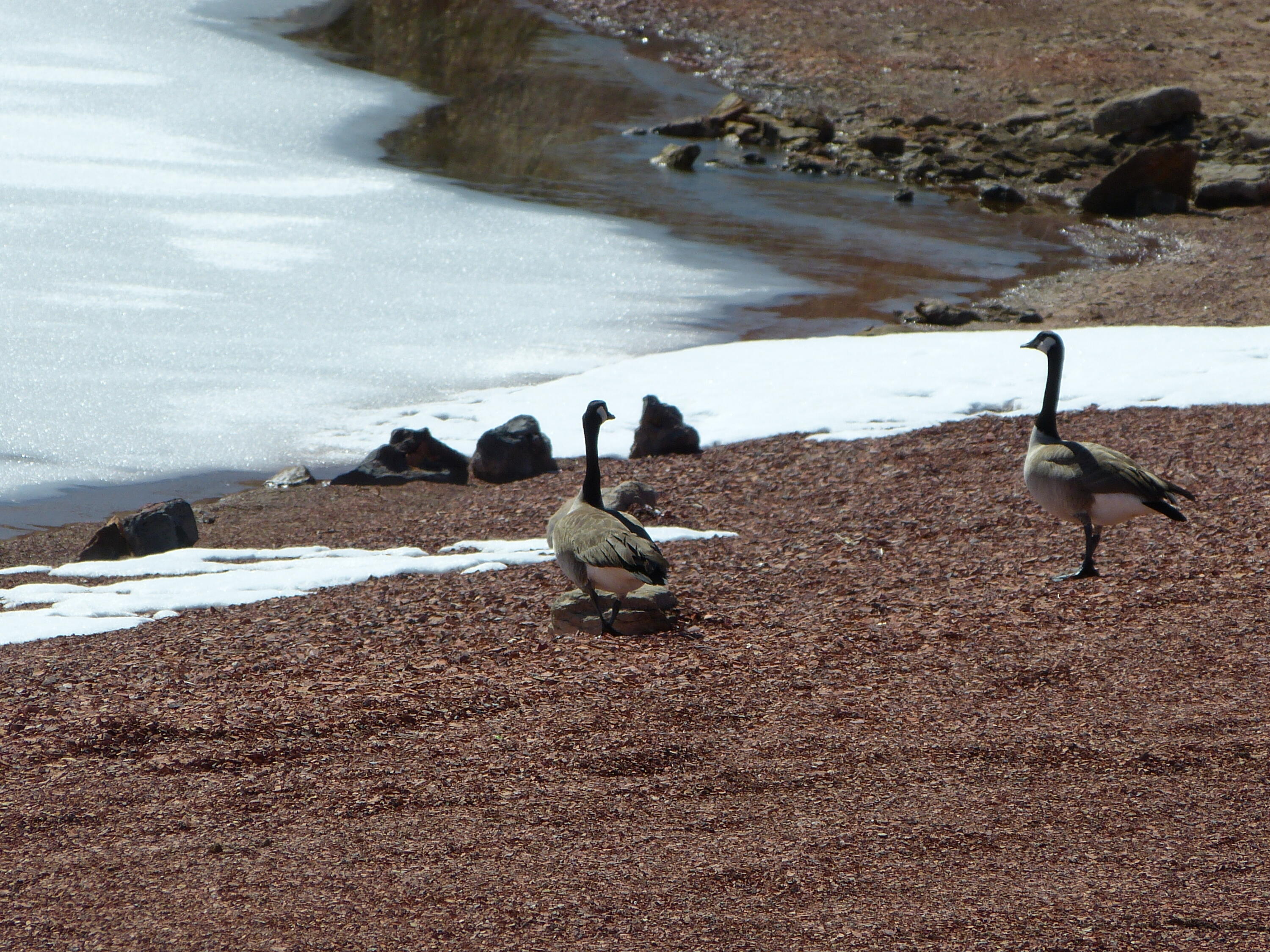 10 Peak View Lane Buffalo, WY 82834 - Photo 7 of 8 L1340045 - Copy
