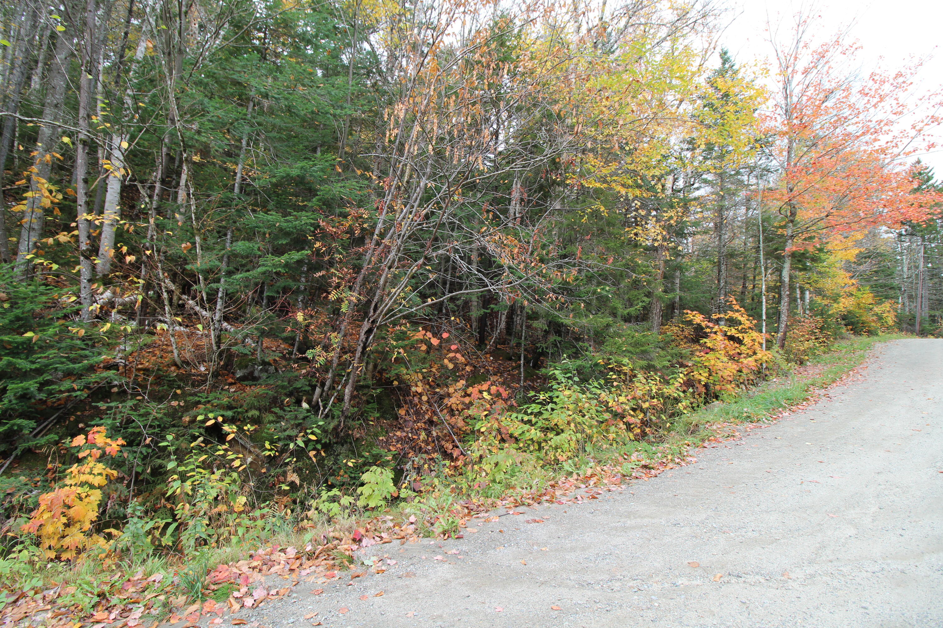 Lot 38 Edelheid Road Sandy River Plt, ME 04970 - Photo 1 of 6 IMG_2284