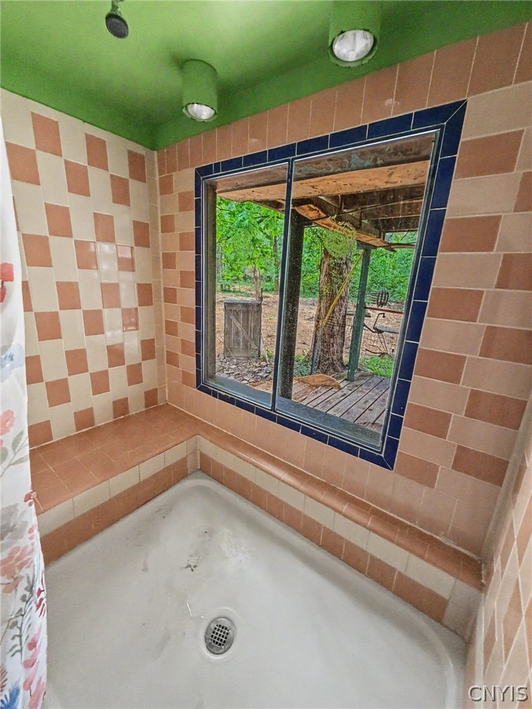 367 Andersen Hill Road Richford, NY 13736 - Photo 28 of 46 First Floor Bath with Large Walk In Shower