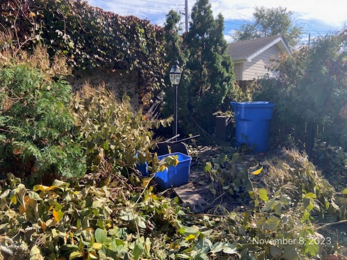 8217 South Rhodes Avenue Chicago, IL 60619 - Photo 21 of 22 a view of a outdoor space