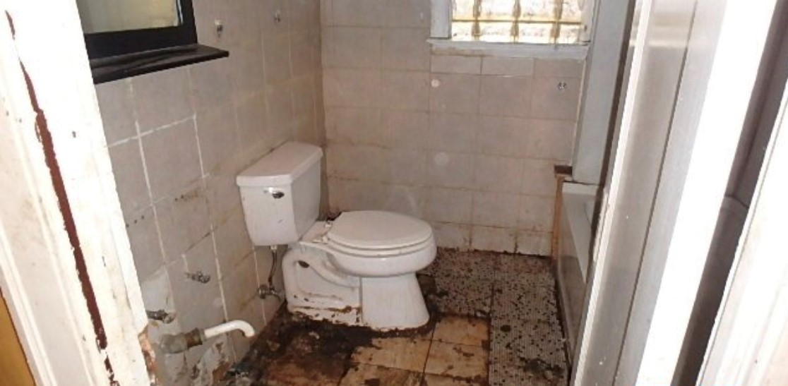 8217 South Rhodes Avenue Chicago, IL 60619 - Photo 8 of 22 a bathroom with a toilet and a shower