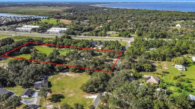 a view of a city with lush green forest