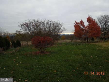 2241 Allen Road Berryville, VA 22611 - Photo 30 of 30 Back yard view