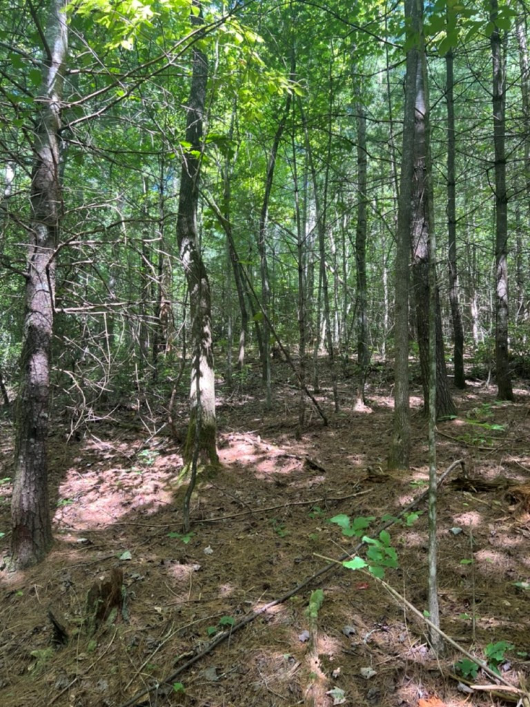 Lot 6-7 Donley Road Murphy, NC 28906 - Photo 5 of 14