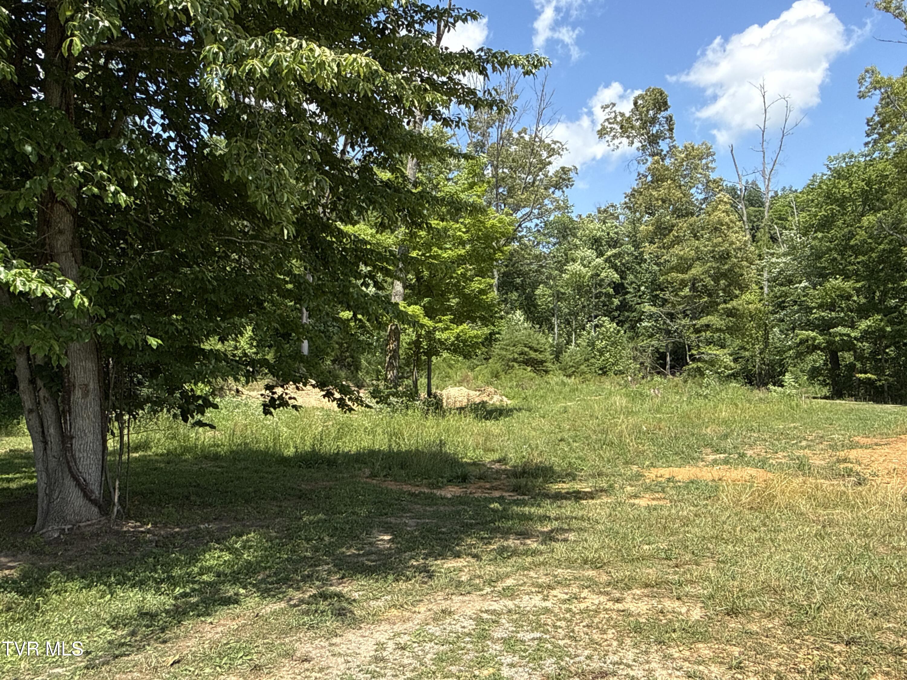 12-ac Max Jett Road Johnson City, TN 37601 - Photo 3 of 27 _Pic3 (7)