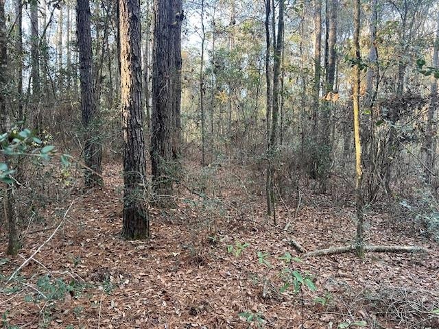 25-ac Smyrna Road Florala, AL 36442 - Photo 31 of 36 Gallery Image 31