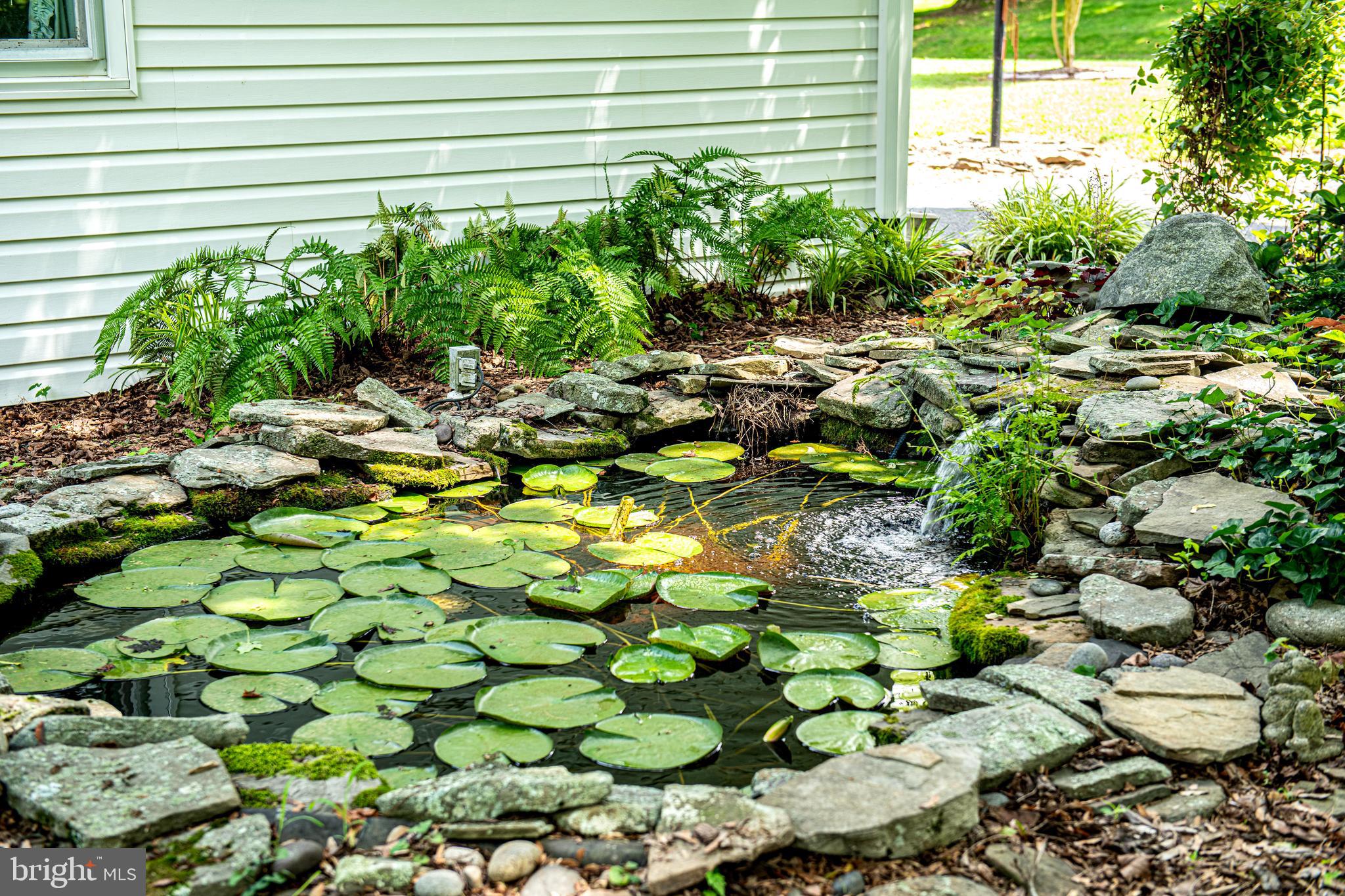 718 Chestnut Hill Road Forest Hill, MD 21050 - Photo 29 of 34 Low Maintenance Pond Produces Clear Water