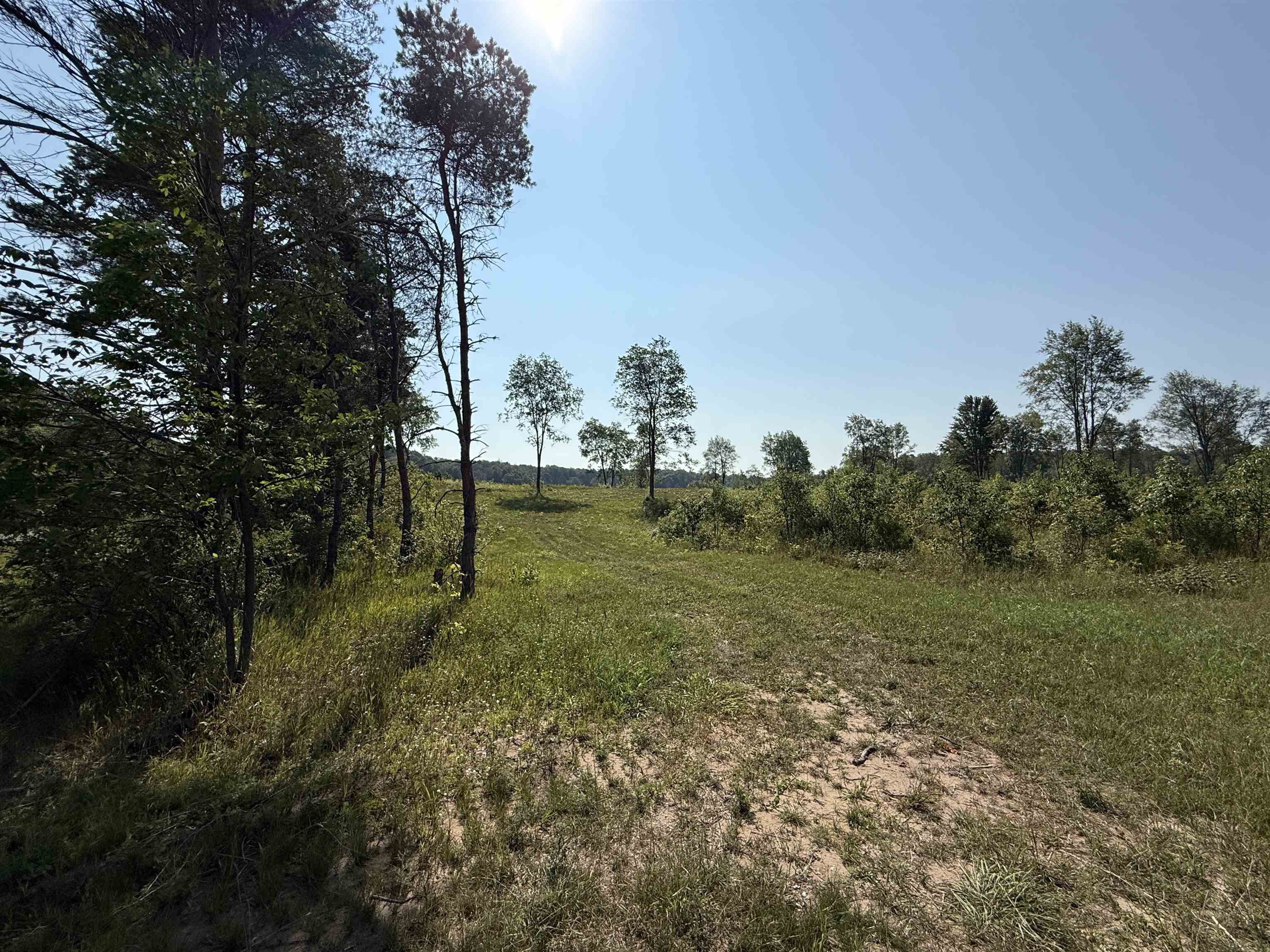 3 East Kasson Road, Unit LOT: A3 Maple City, MI 49664 - Photo 7 of 12