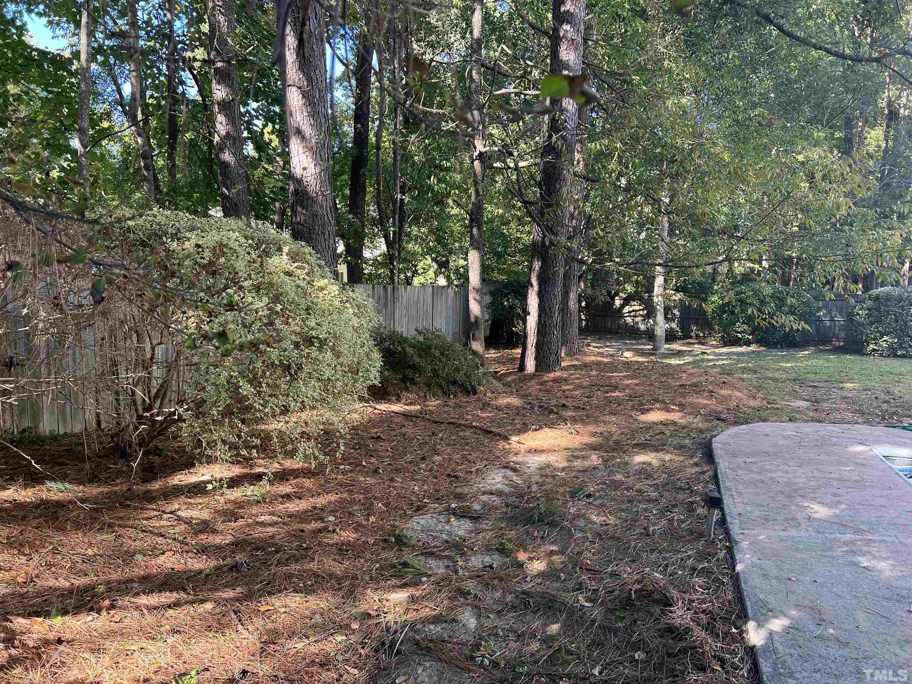 5113 Six Point Trail Raleigh, NC 27616 - Photo 6 of 53 a view of backyard with green space