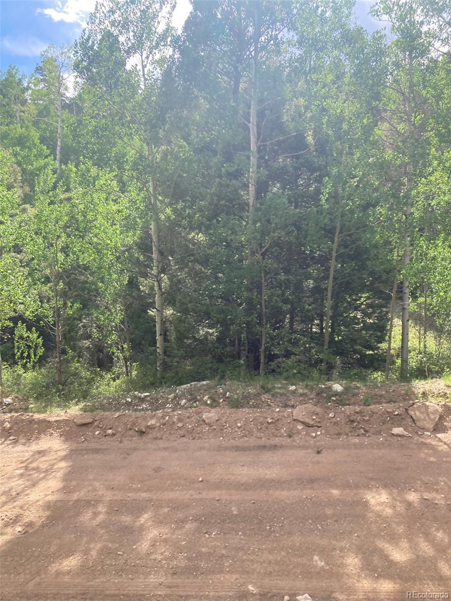 Lot 6461 Jacquez Road San Luis, CO 81152 - Photo 15 of 22
