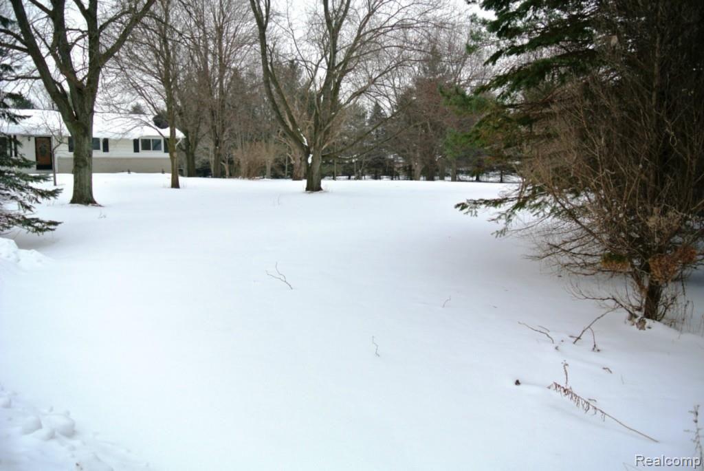 18405 32 Mile Road Armada, MI 48005 - Photo 7 of 58 FRONT YARD.jpg