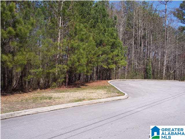 Lot 10 Edgewood Circle, Unit 9 Cleveland, AL 35049 - Photo 1 of 4