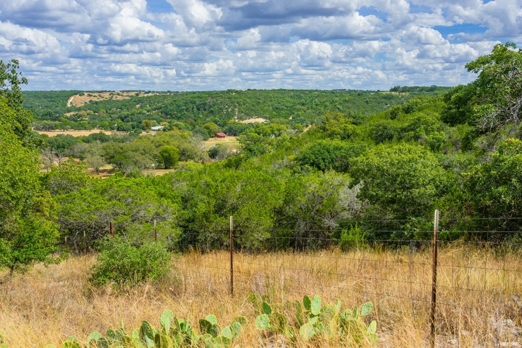 101 Crestline Kerrville, TX 78028 - Photo 38 of 47