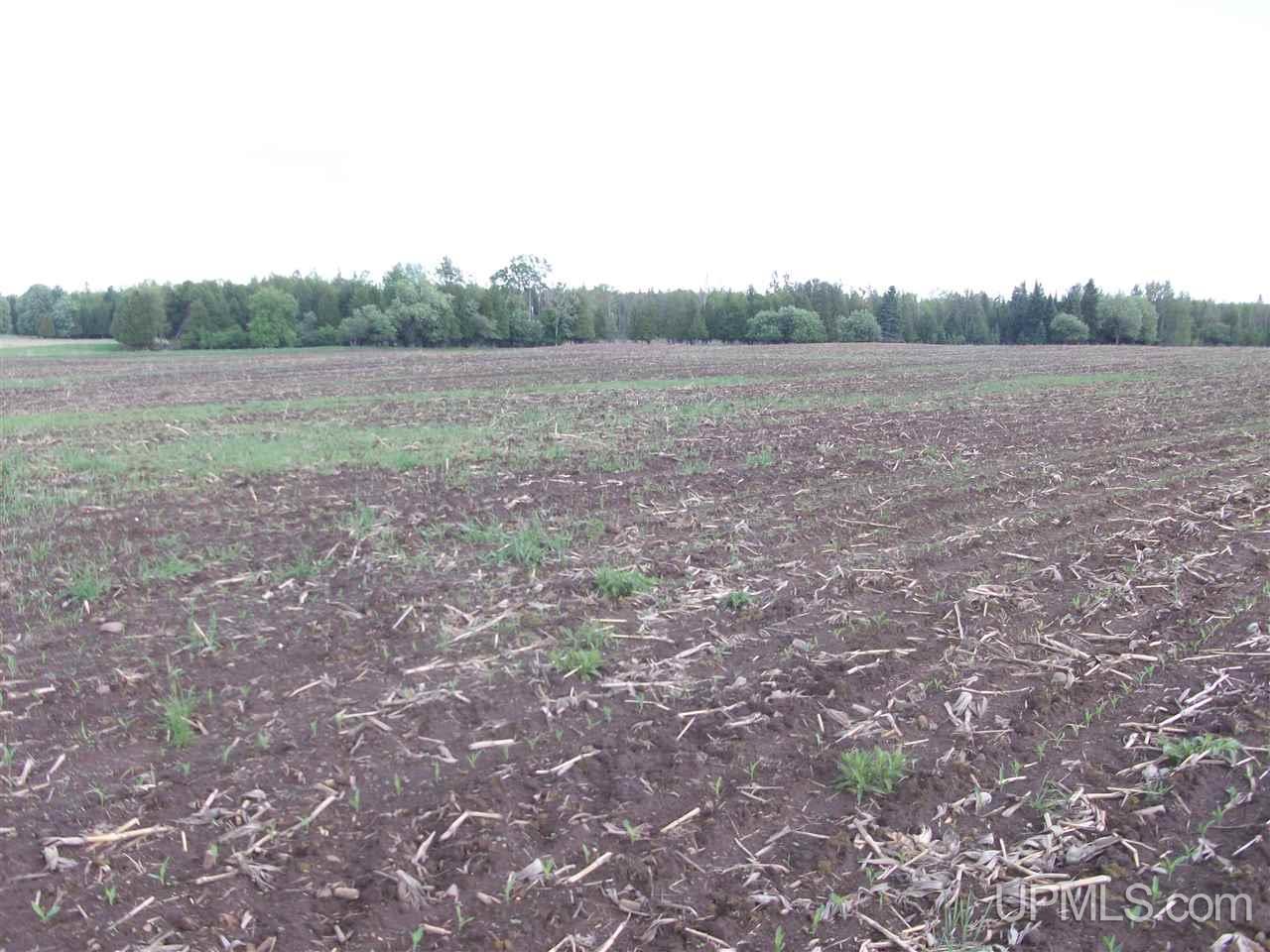 Tbd Co Rd 426 & River Road Cornell, MI 49818 - Photo 13 of 15