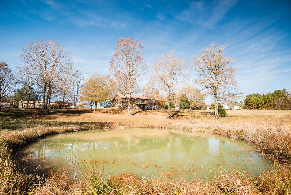968 Kirby Young Road Dalton, GA 30721 - Photo 60 of 66 Gallery Image 60