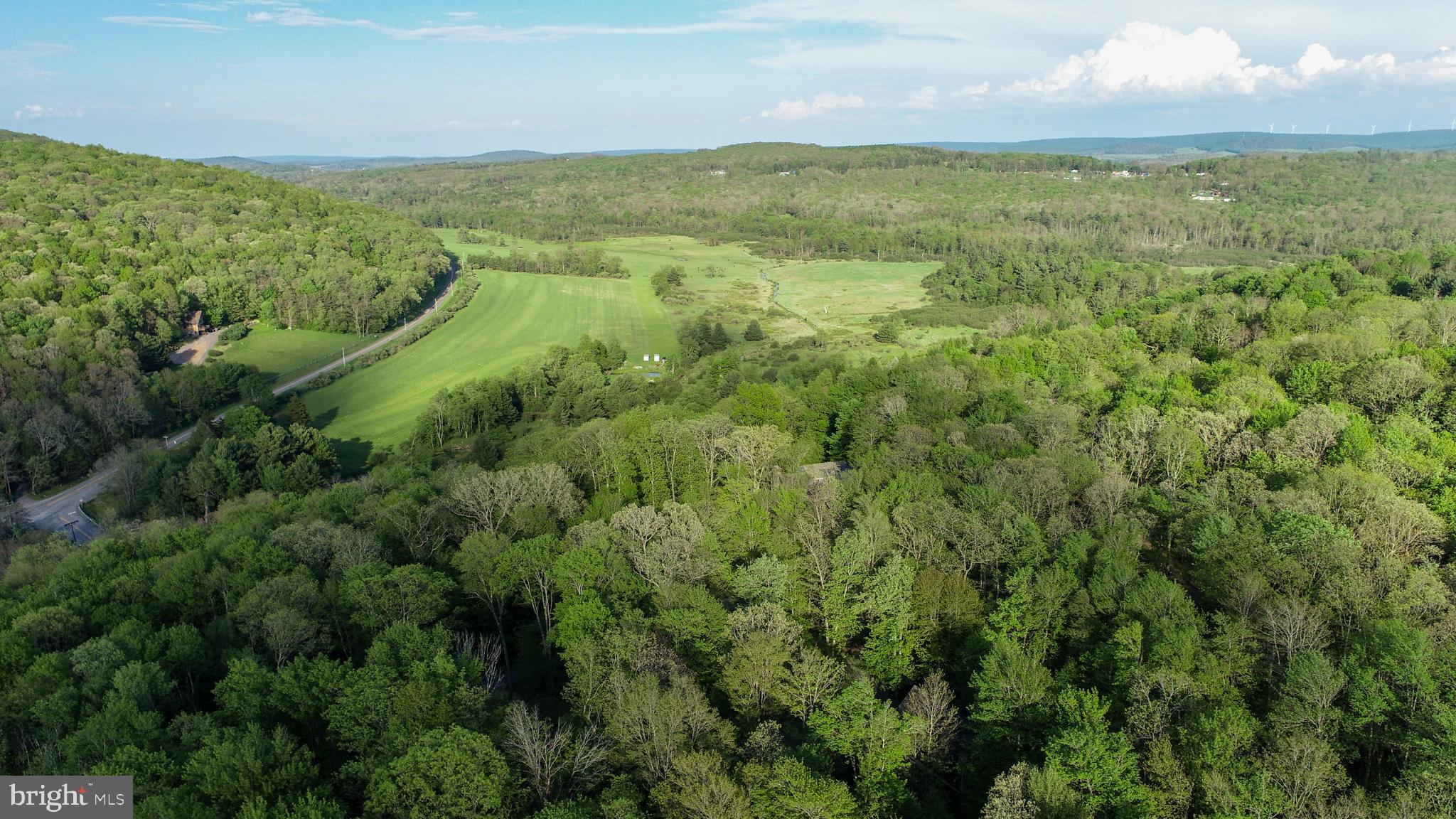 Red Run Heights Road Oakland, MD 21550 - Photo 5 of 24 a view of a field with an ocean view