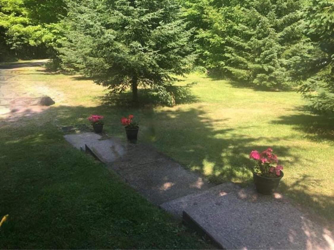 3938 East 14 Mile Road Dafter, MI 49724 - Photo 12 of 25 Gallery Image 12