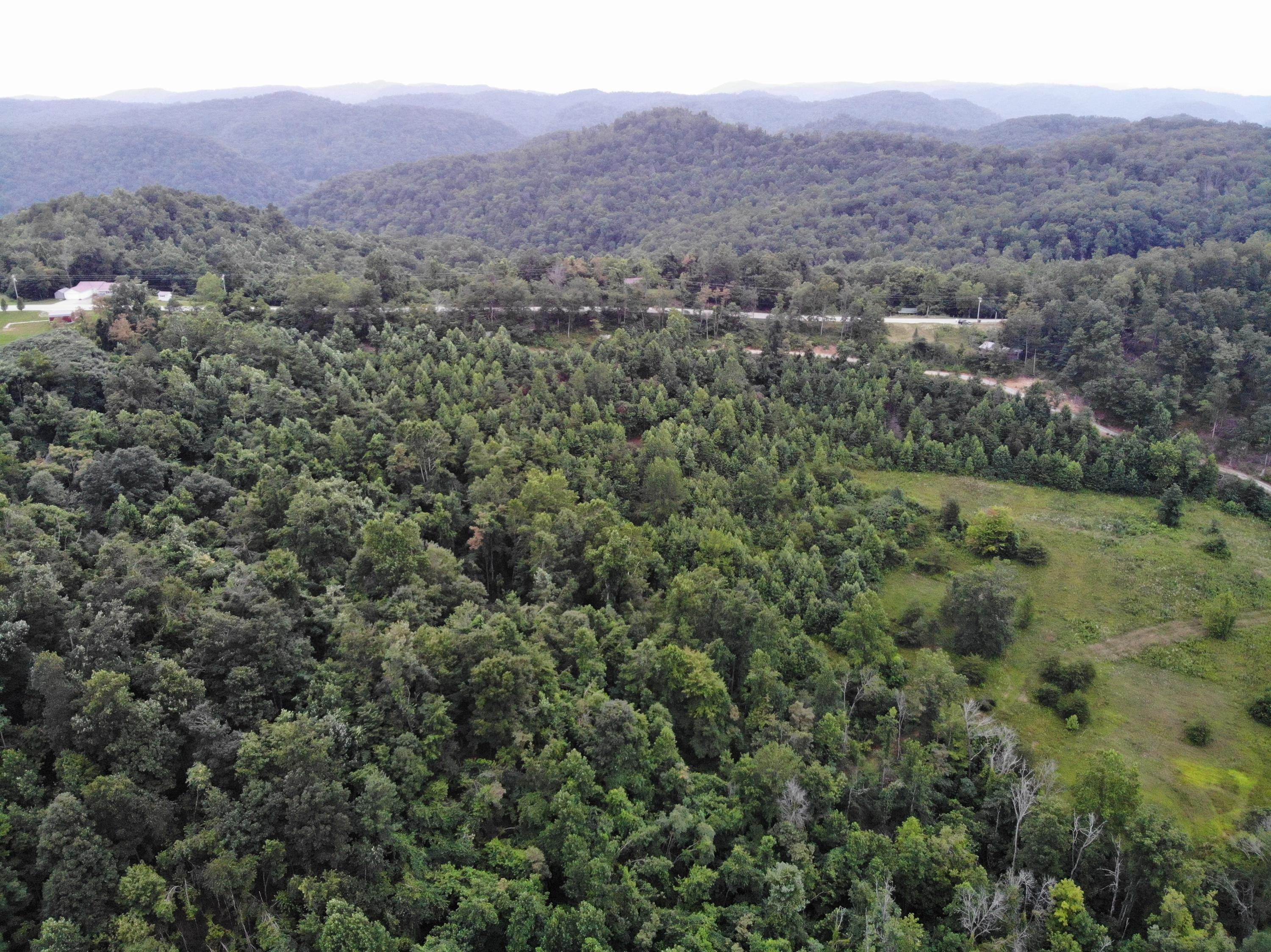 9015 McKee Road Irvine, KY 40336 - Photo 5 of 33 DJI_0013