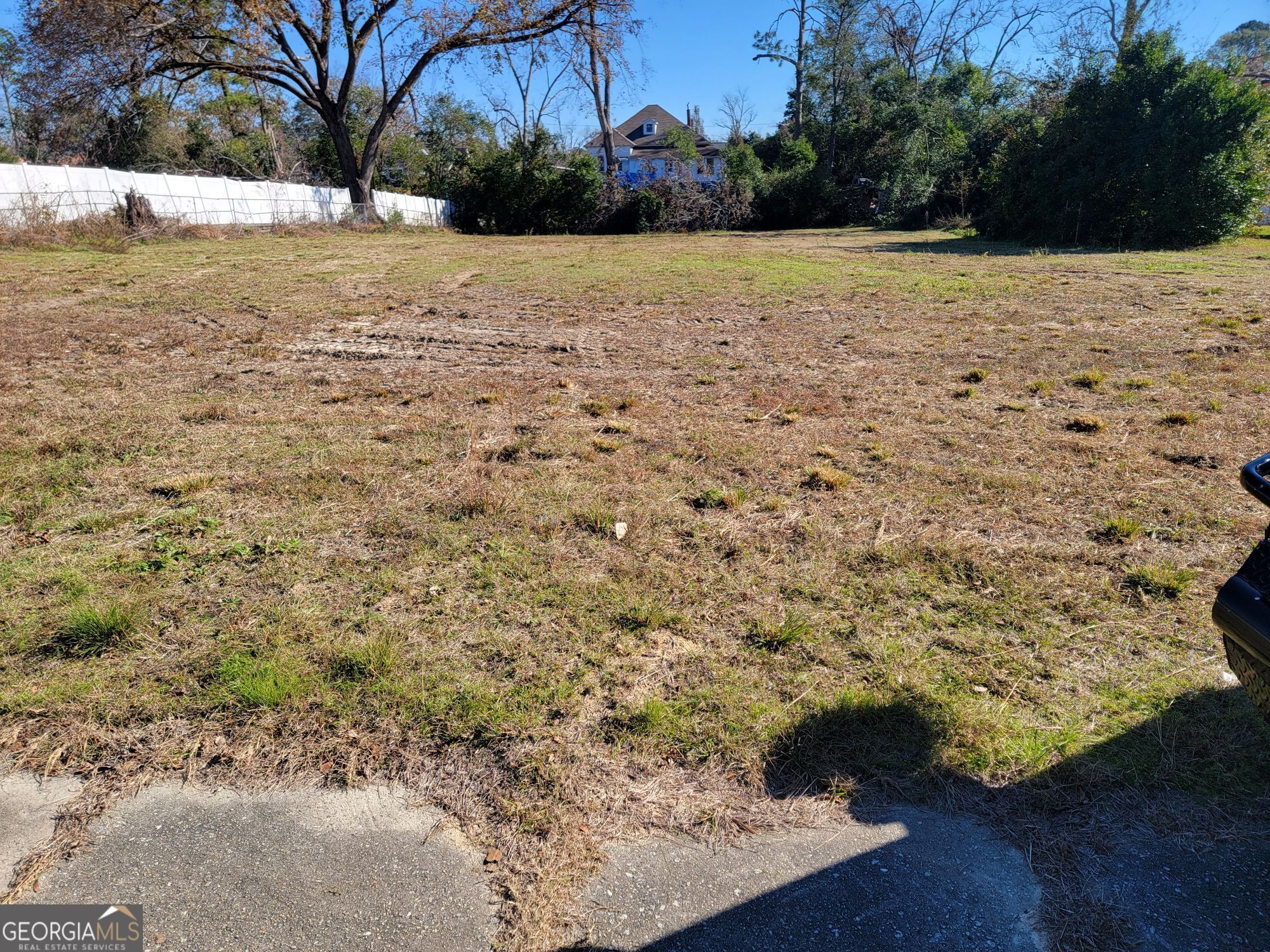 125 Jones Street Midville, GA 30441 - Photo 3 of 3