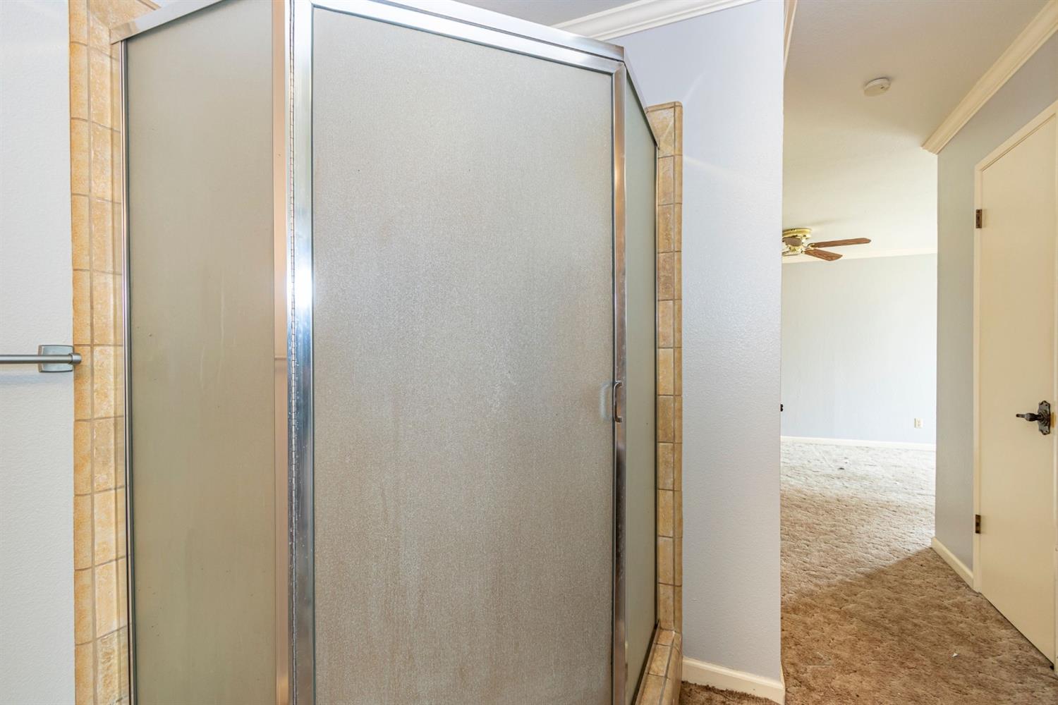 22235 Frontier Road Clovis, CA 93619 - Photo 16 of 31 Large master shower.