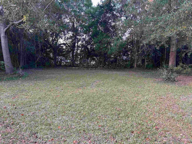 $209,000 | 404 East Richardson Avenue, Hemingway, SC 29554