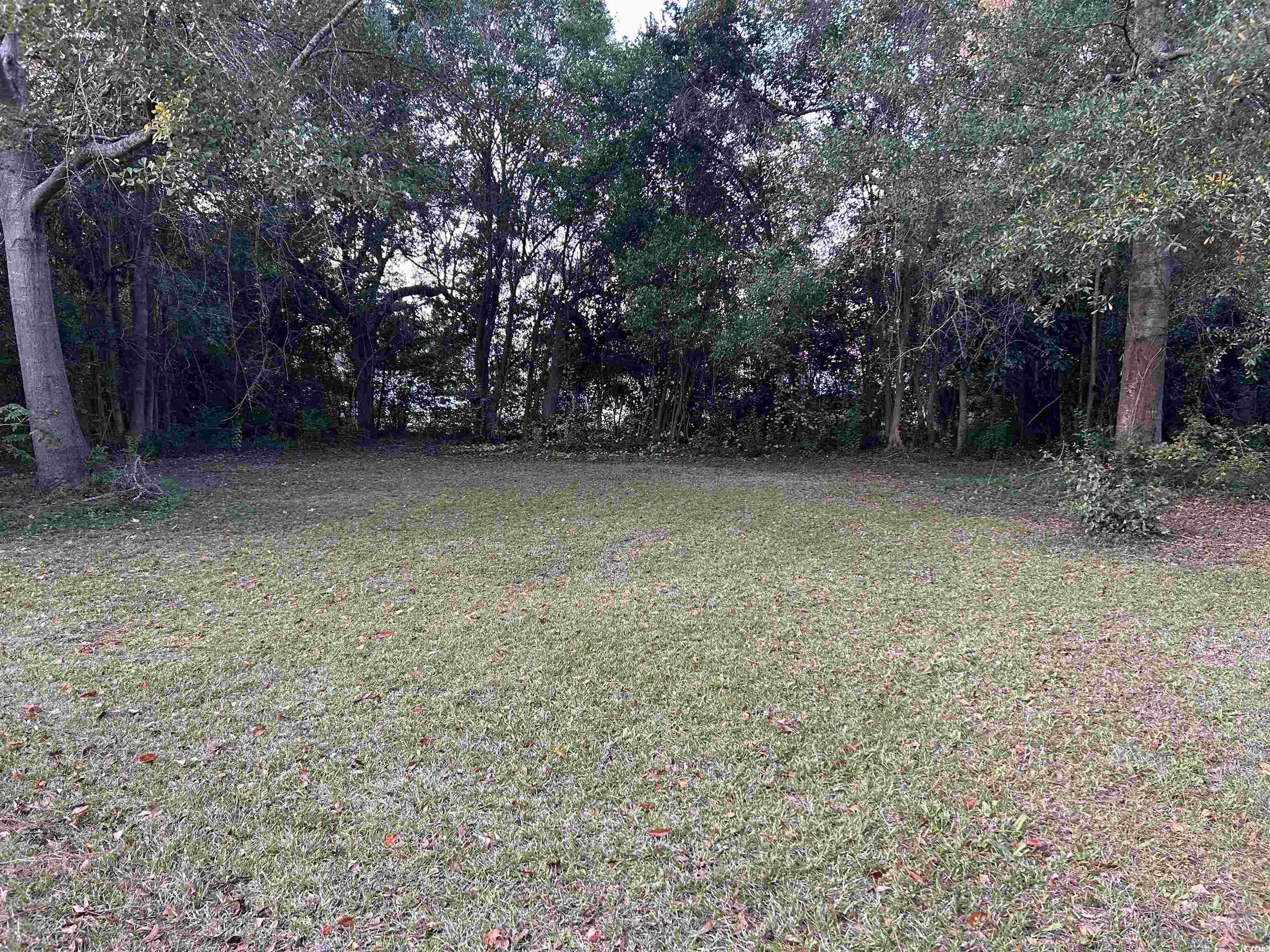 404 East Richardson Avenue Hemingway, SC 29554 - Photo 23 of 26
