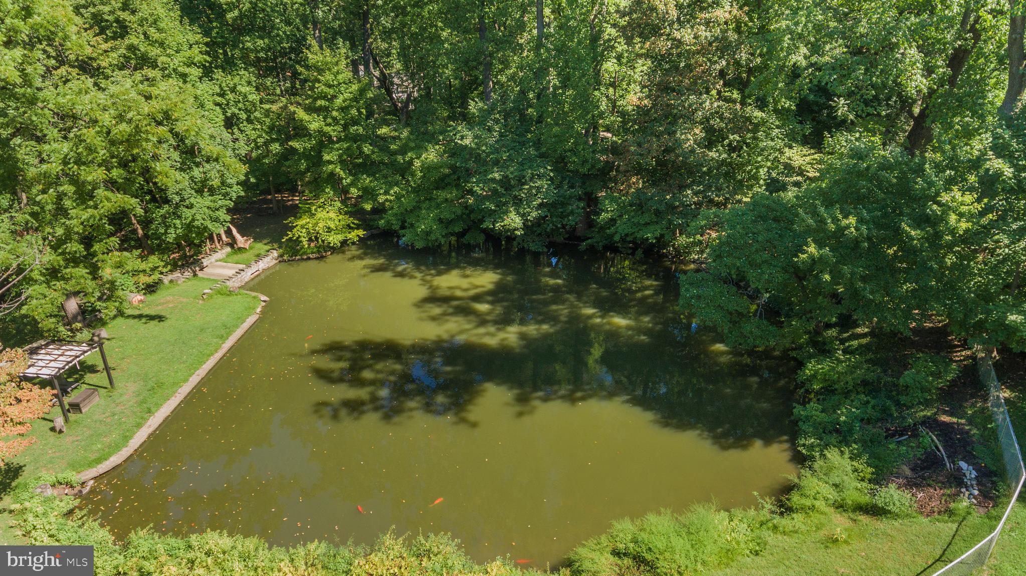 431 Crescent Road Wyncote, PA 19095 - Photo 47 of 49 Pond is stocked with koi and catfish